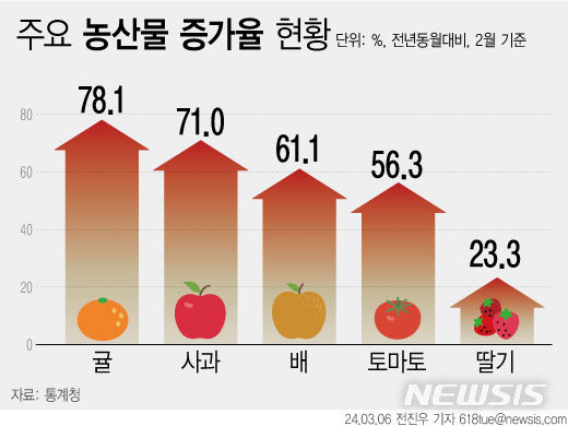 [서울=뉴시스] 6일 통계청에 따르면 과일류인 신선과실이 전년동월대비 41.2% 올라 32년 5개월 만에 최대 상승폭을 기록했다. 사과(71.0%), 귤(78.1%), 토마토(56.3%), 파(50.1%), 딸기(23.3%) 등의 상승세가 두드러졌다. (그래픽=전진우 기자)   618tue@newsis.com