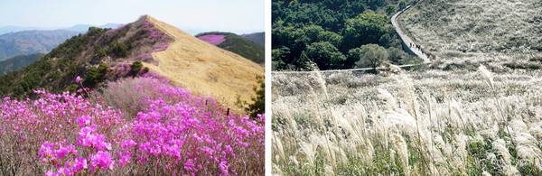 창녕 가볼만한 곳 BEST 5 / 온라인 커뮤니티