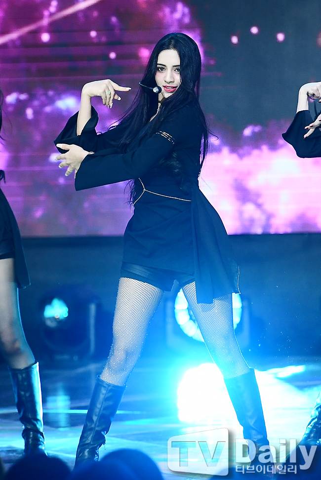 티브이데일리 포토