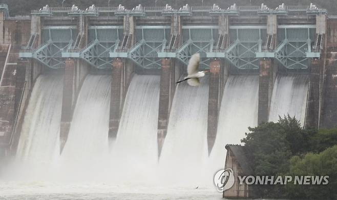 수문 개방한 대청댐 [연합뉴스 자료사진]