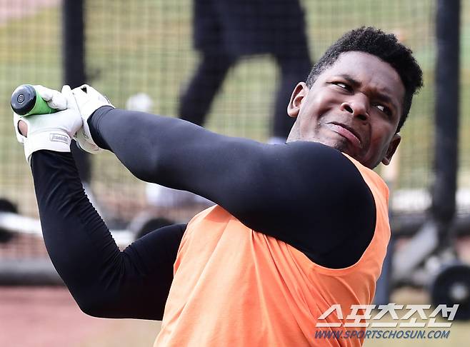 7일 대전 한화생명이글스파크에서 한화 이글스 선수단이 훈련했다. 타격 훈련을 하고 있는 페라자. 대전=송정헌 기자songs@sportschosun.com/2024.03.07/