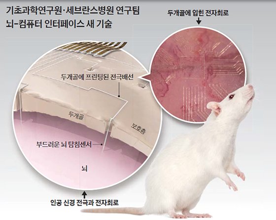 자료:기초과학연구원