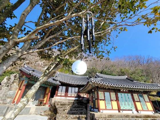 백운산 중턱 양지바른 언덕에 자리한 학사암. 동백나무 아래 노래하는 풍경이 있다.