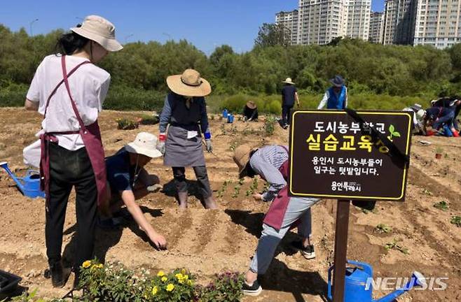 [용인=뉴시스] 지난해 도시농부학교 텃밭교육에 참가한 시민들 모습(용인시 제공)