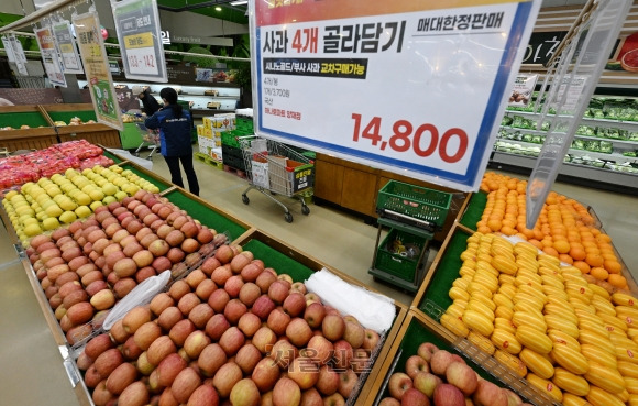 金사과 한 알에 3700원 - 사과를 비롯한 과일값의 과도한 상승으로 전체 물가까지 끌어올리는 ‘프루트플레이션’(과일+인플레이션)이 확산하는 가운데 12일 서울 양재동 하나로마트 과일코너에서 사과가 1개당 3700원에 판매되고 있다. 도준석 전문기자