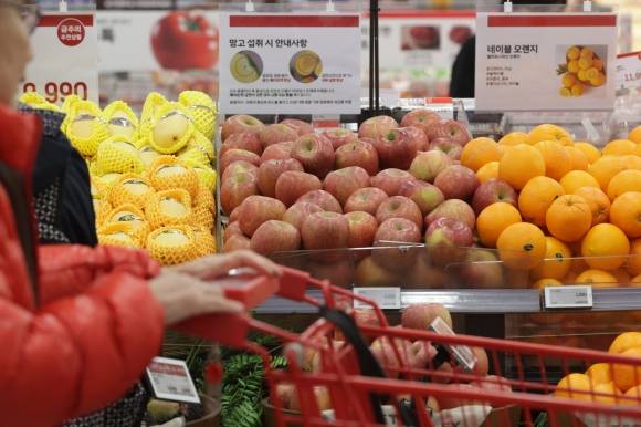 ‘사과 10kg 도매가격 9만원 돌파’ - 13일 서울의 한 대형마트에서 장을 보는 한 시민이 사과 진열대 앞을 지나치고 있다. 2024.3.13. 연합뉴스