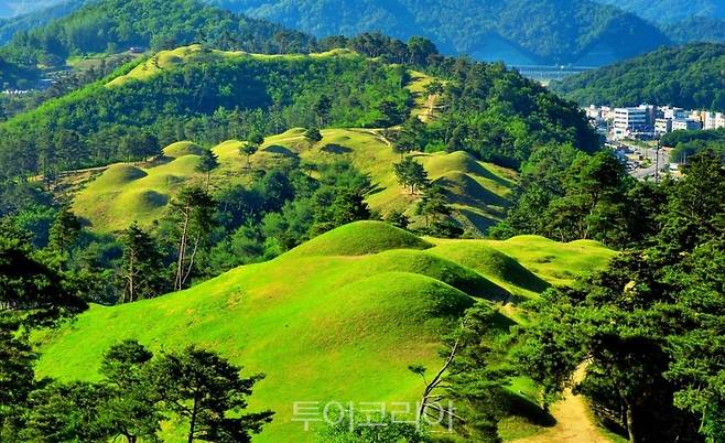 지산동 고분군의 봄 풍경