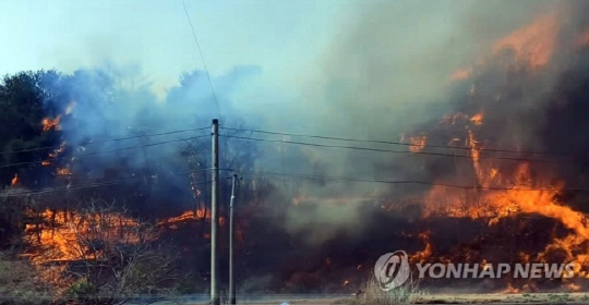작년 4월 강릉에서 발생했던 산불 모습. 사진 연합뉴스