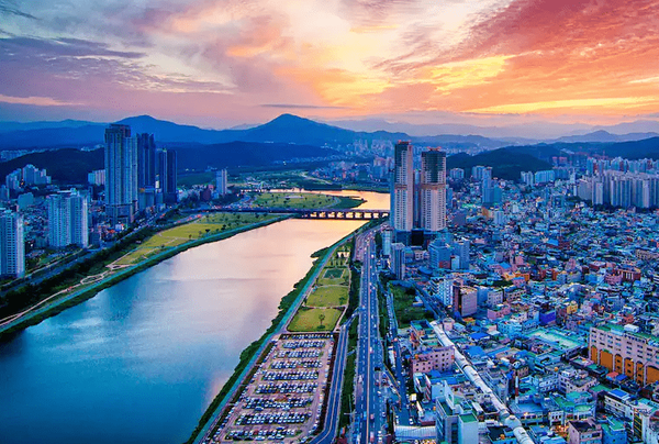 온라인 커뮤니티