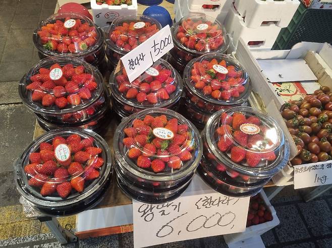 서울 동대문구 경동시장의 청과시장 점포에 딸기가 진열되어 있다. 판매 가격은 떨이가 5000원이다./최효정 기자