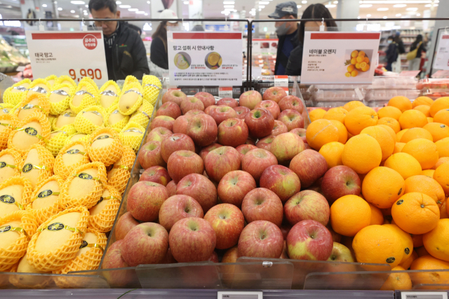 과실 물가 상승으로 인해 수입산 과일에 대한 수요가 증가하고 있는 13일 서울의 한 대형마트에 수입산 망고와 오렌지 등이 진열되어 있다. 연합뉴스