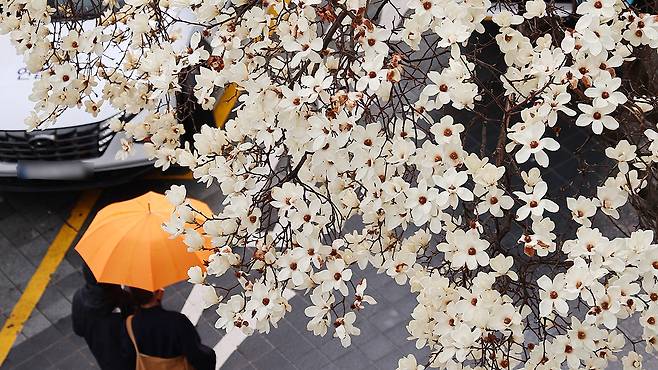 사진제공:연합뉴스