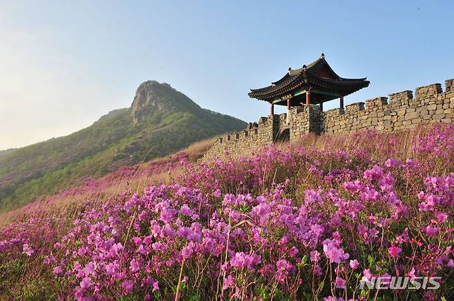 [창원=뉴시스]경남 합천 황매산철쭉제.(사진=경남도 제공)