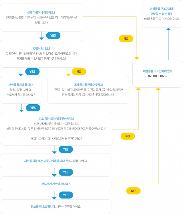 어린 새 구조 가이드라인. 서울시야생동물센터 제공