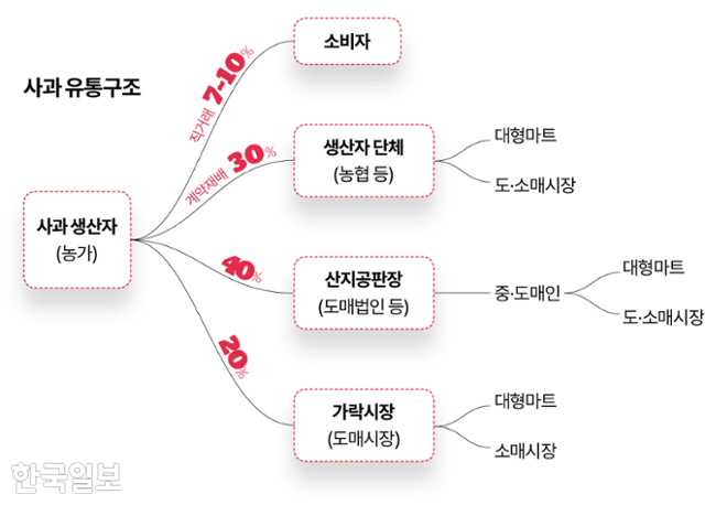 사과 유통구조. 그래픽=김대훈 기자