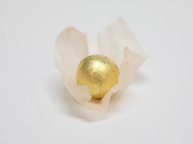 공진단/사진=자생한방병원 제공