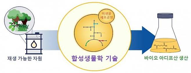 지방산 유래산물로부터 바이오 아디프산 생산이 가능한 효모 균주. 한국화학연구원