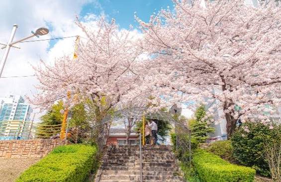 온라인 커뮤니티