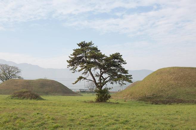 사적 '경주 금척리 고분군' [문화재청 국가문화유산포털 제공. 재판매 및 DB 금지]