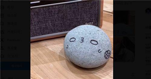 그룹 TXT 멤버 휴닝카이가 공개한 반려돌. [위버스 캡처]