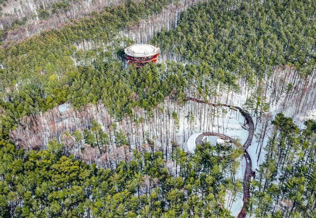 올해 개장한 무장애 숲 체험시설인 태백 하늘전망대. 전망대와 연결된 전시시설은 이달 31일 문을 연다. 태백시청 제공