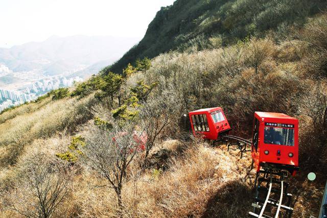 3월 11일부터 운영을 재개한 거제관광모노레일. 거제시청 제공