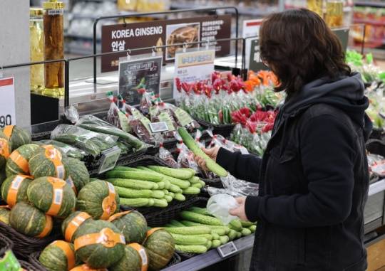 A shopper selects cucumbers at a hypermarket in Seoul on the morning of Aug. 18 amid soaring prices of agricultural products such as fruits and vegetables. The government proposed measures to stabilize agricultural prices at a meeting on Monday chaired by President Yoon Seok-yul, but failed to offer any concrete solutions. Yonhap News Agency