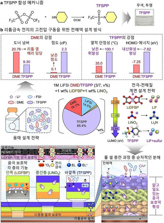 (a)TFSPP 합성 메커니즘 및 용매 사진 (b)리튬금속전지의 고전압 구동을 위한 전해액 설계 방식 제안. KAIST