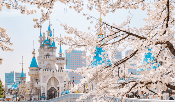 온라인 커뮤니티