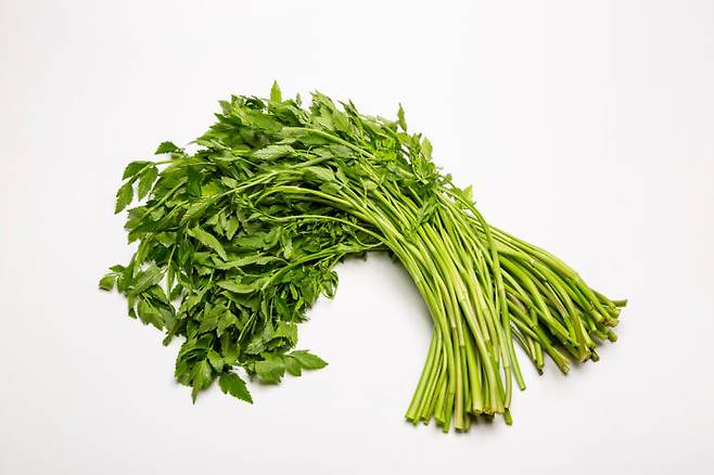 몸 속 미세먼지와 중금속 배출을 돕는 음식으로는 미나리, 도라지, 브로콜리 등이 있다. [사진=클립아트코리아]