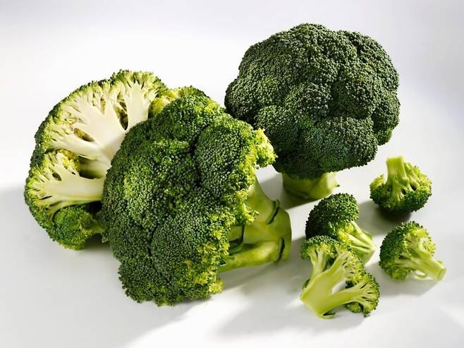 [사진=클립아트코리아]