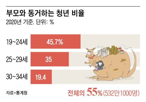 그래픽=조선디자인랩 이민경/ 일러스트=조선디자인랩 이연주