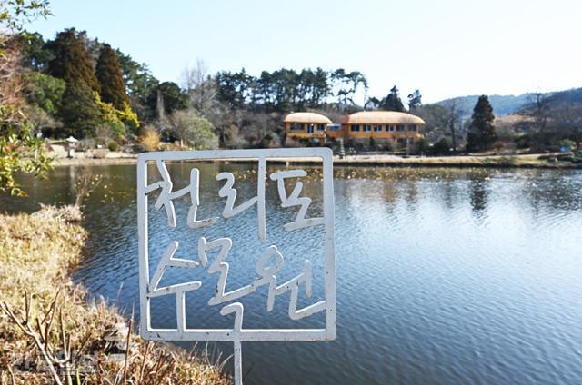 천리포수목원은 국내 최초의 사설 수목원이다. 바다와 숲의 아름다움을 두루 감상할 수 있다.