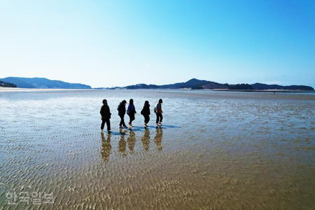 지난 15일 열린 '여행가는 달' 맨발 걷기 행사 참가자들이 끝없이 펼쳐진 신두리 해변을 걷고 있다.