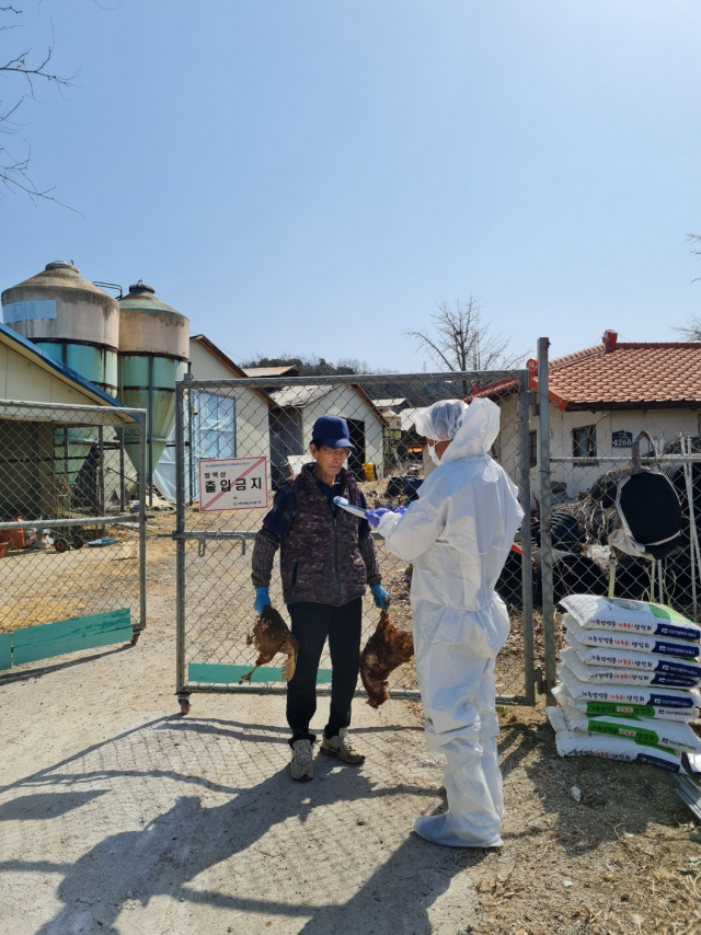 농가 예찰하는 퇴직 가축방역관, 사진 제공=경기도