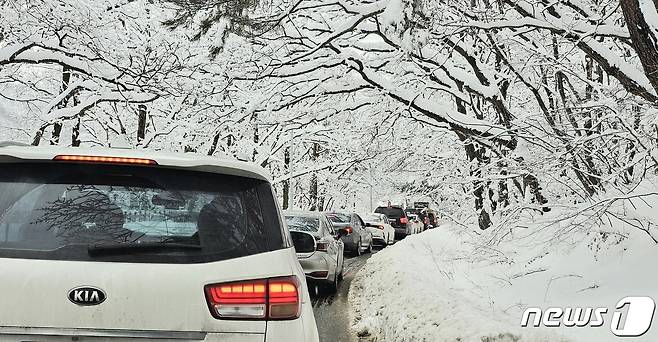강원 산지와 동해안을 중심으로 폭설이 내린  강원 속초시 일대가 설국으로 변해 있다. (속초시 제공)2024.2.6/뉴스1 ⓒ News1 윤왕근 기자