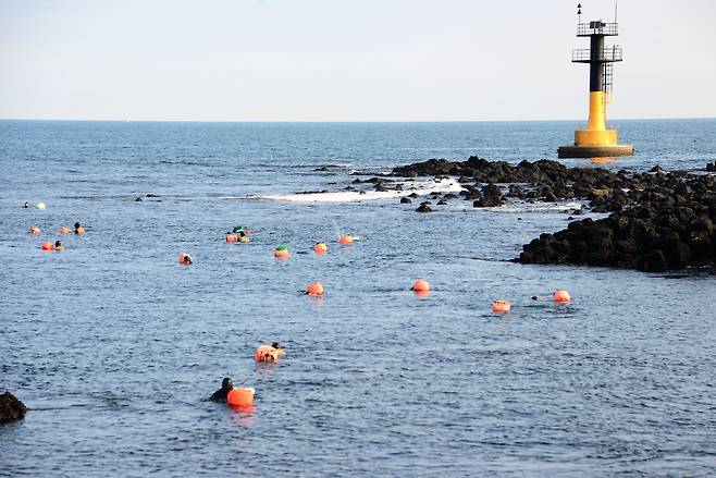 마을 어장에서 성게 물질을 하는 해녀들/김준 광주전남연구원 책임연구위원