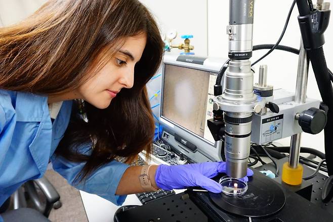 마르타 곤살베스 성균관대 박사 후 연구원이 연구하는 고분자 기반 인공 피부. 인간 세포를 배양해 만드는 일반적인 인공 피부와 비교해 저렴하게 화장품의 커버력을 시험할 수 있다. 최종적으로는 인간 세포와 고분자를 모두 활용한 하이브리드 인공 피부를 개발하는 것이 목표다./수원=이병철 기자