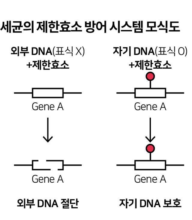 그래픽=송정근기자