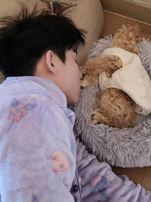 배우 서범준이 MK스포츠와의 펫터뷰를 진행했다. 사진=서범준