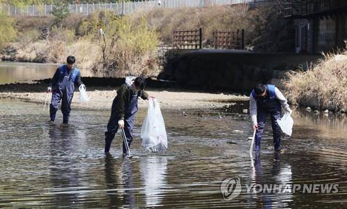 작년 3월 삼성전자 임직원들이 경기 수원시 영통구 원천리천에서 정화할동을 벌이고 있다. [연합뉴스 자료사진]