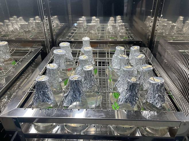 전복 원종 배양. 전라남도 제공