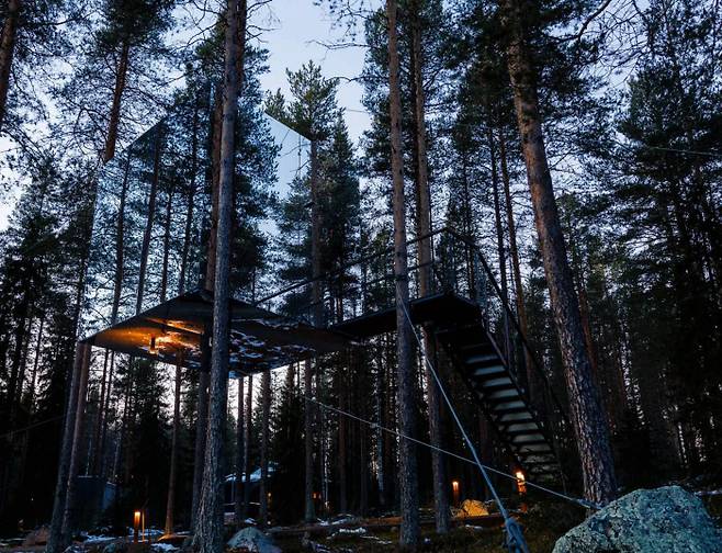 미러큐브는 외관의 모든 면이 거울로 된 방이다. 숲을 보호하기 위해 한 그루의 나무도 베어내지 않고 지은 트리 호텔의 풍경.