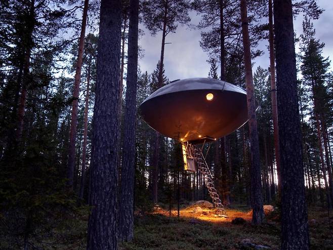 나무 위에 불시착한 비행체와 같은 UFO방.
