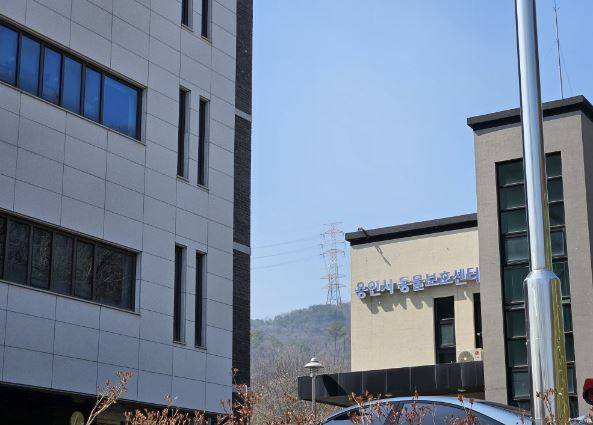 용인시에 위치한 동물보호센터 / 사진 = 하승연 인턴기자