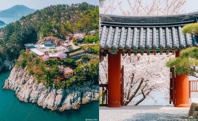 바다 위 사찰로 불리는 용월사는 작고 조용한 절이지만 사시사철 예쁜 꽃이 피어 관광지로 사랑받고 있다. /사진=한국관광공사