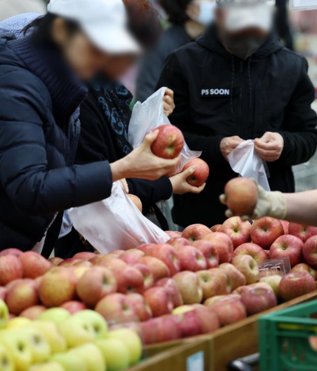 24일 서울 시내 한 대형마트에서 시민들이 사과를 구입하고 있다. 농축산물 물가 안정을 위한 정부의 대규모 자금 투입 이후 사과와 배 소매가격이 10% 넘게 하락한 것으로 파악됐다. 그러나 도매가격은 내려가지 않아 여름철 햇과일 출하 전까지 가격 강세가 지속할 것으로 전망된다. 뉴시스