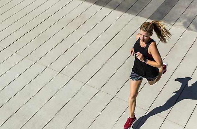 자료사진 출처=픽사베이