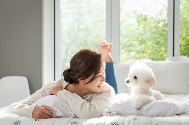 LCC들이 반려동물 관련 활동을 이어가고 있다. /사진=이미지투데이