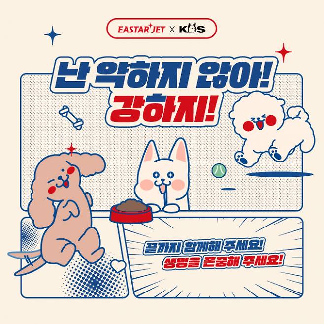 이스타항공 유기견 입양 캠페인 이미지 /사진=이스타항공